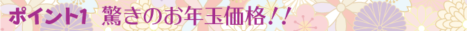 ポイント1　驚きのお年玉価格！！