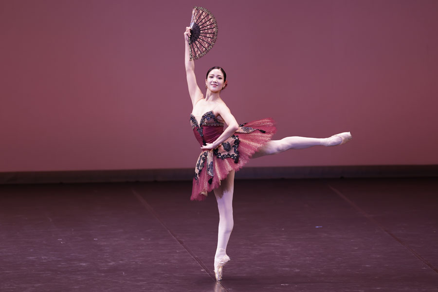 ｢ドン･キホーテ｣演目画像2