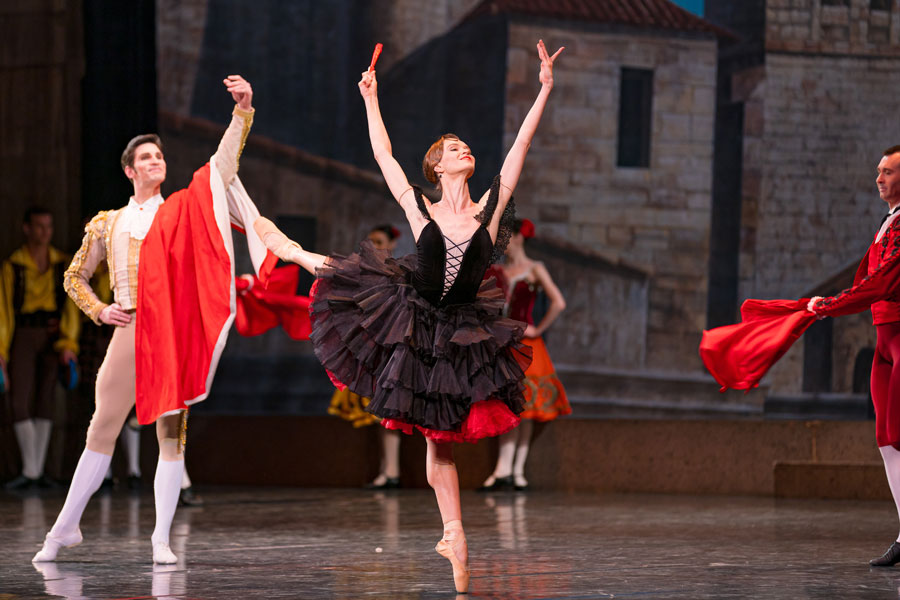 ｢ドン･キホーテ｣演目画像3