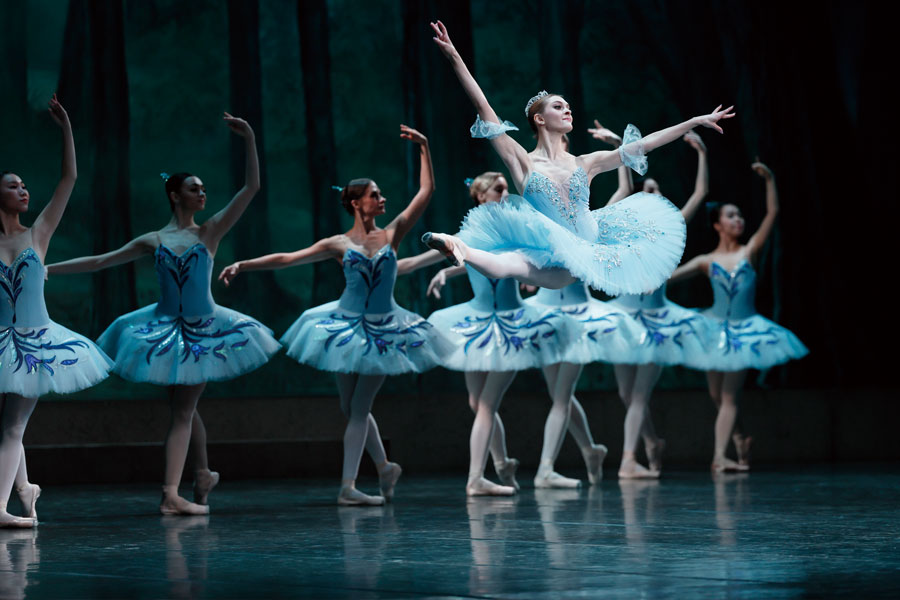 ｢ドン･キホーテ｣演目画像4