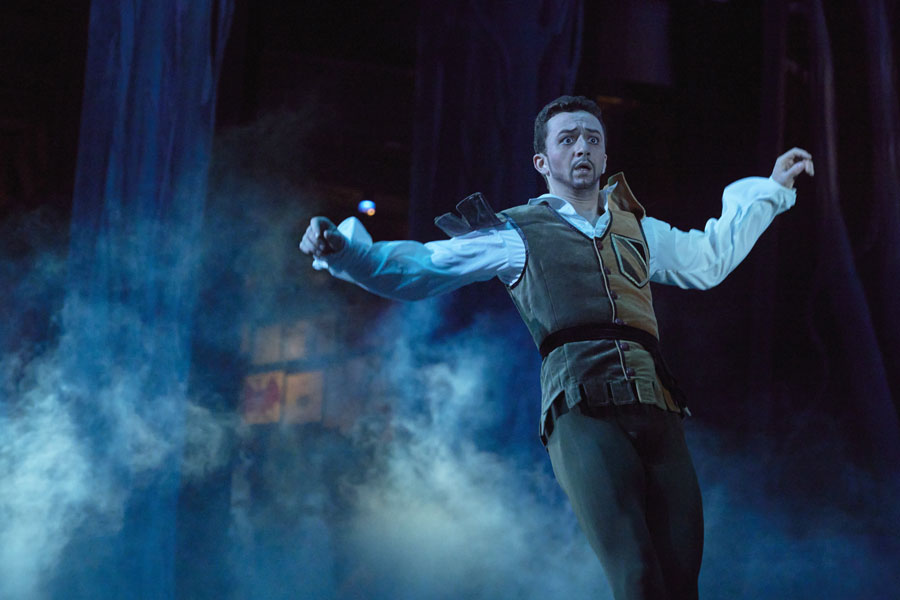 ｢ジゼル｣演目画像5