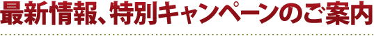 最新情報、特別キャンペーンのご案内